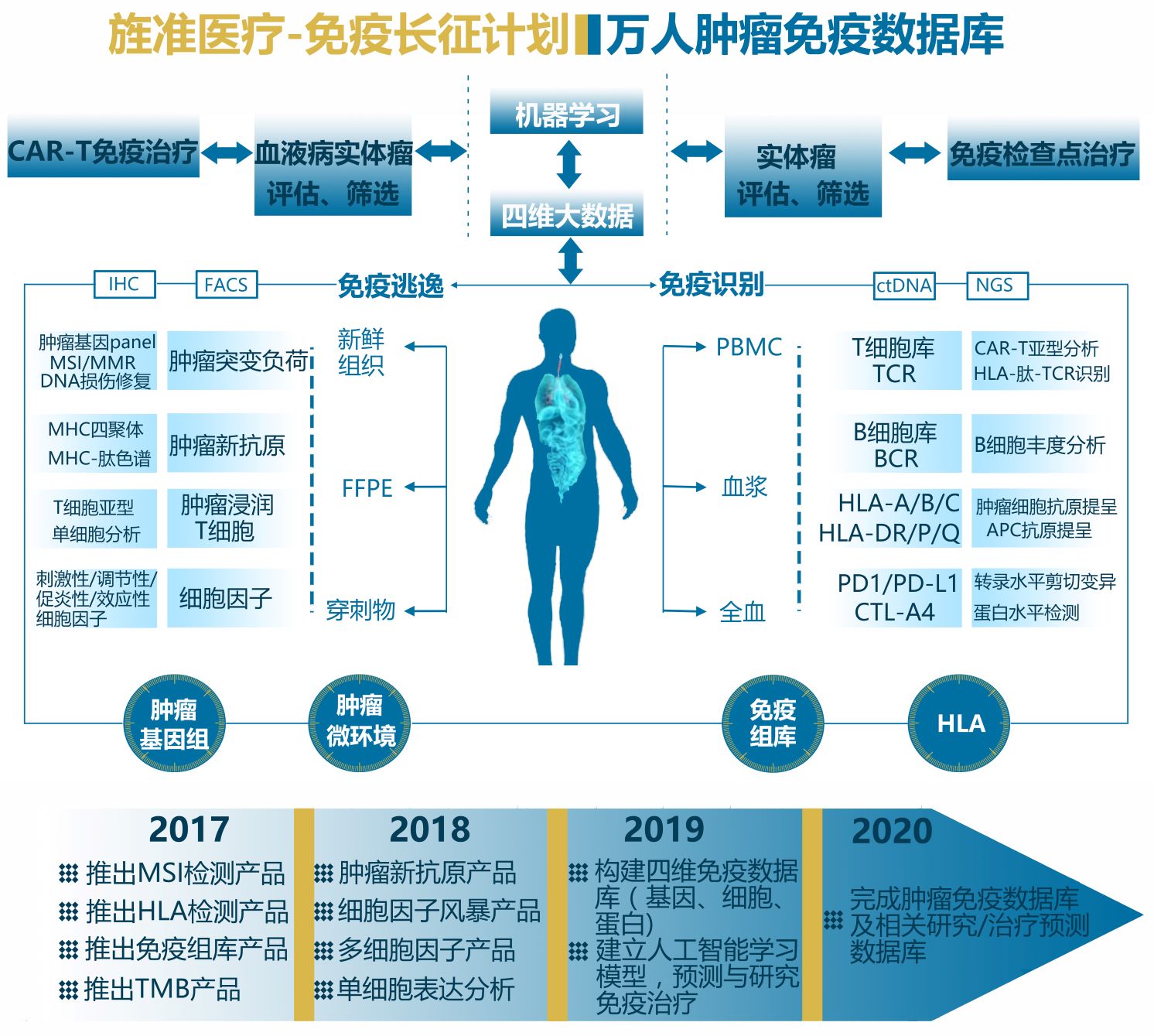 免疫治療2.jpg